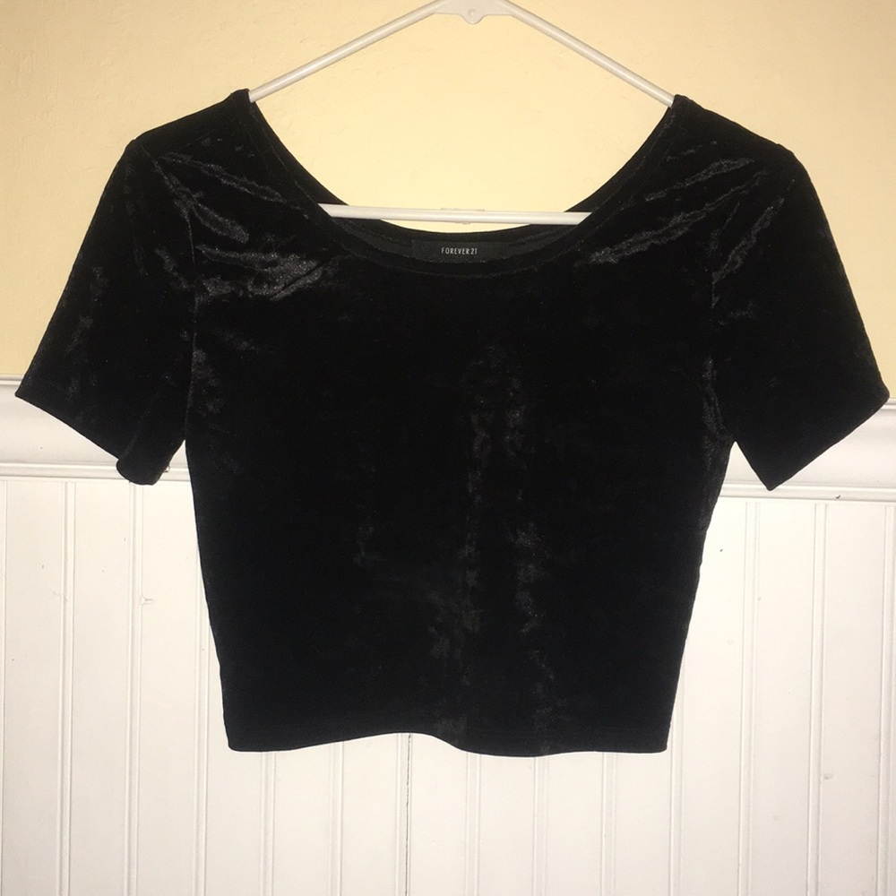 Velvet Crop Top